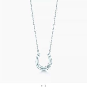 Tiffany Horseshoe Necklace